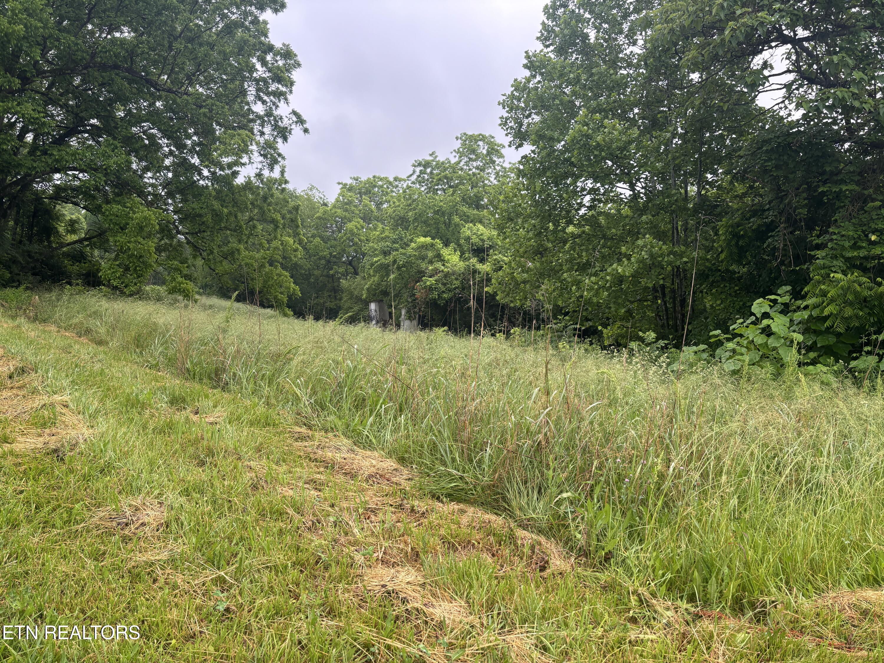 Morrell Springs Road Newport TN 37821