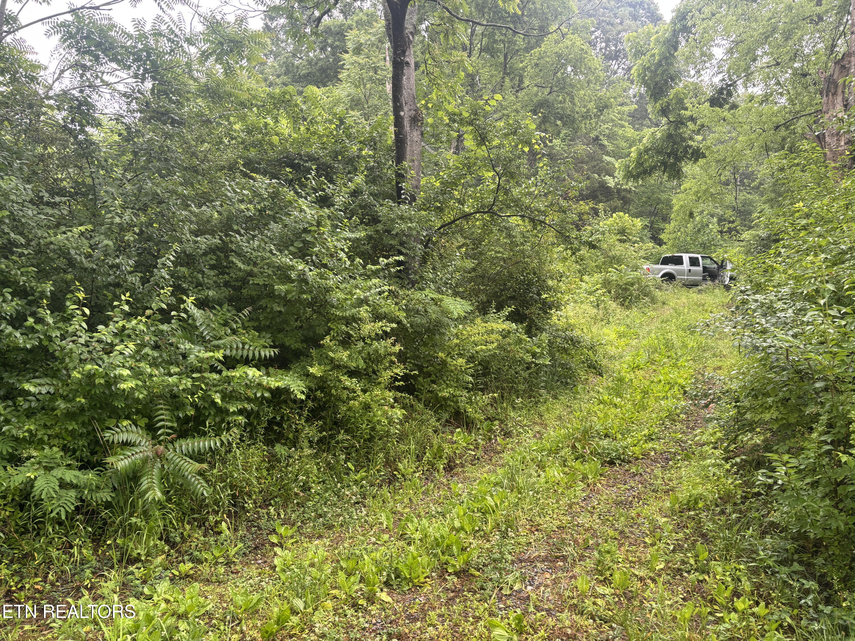 Morrell Springs Road Newport TN 37821