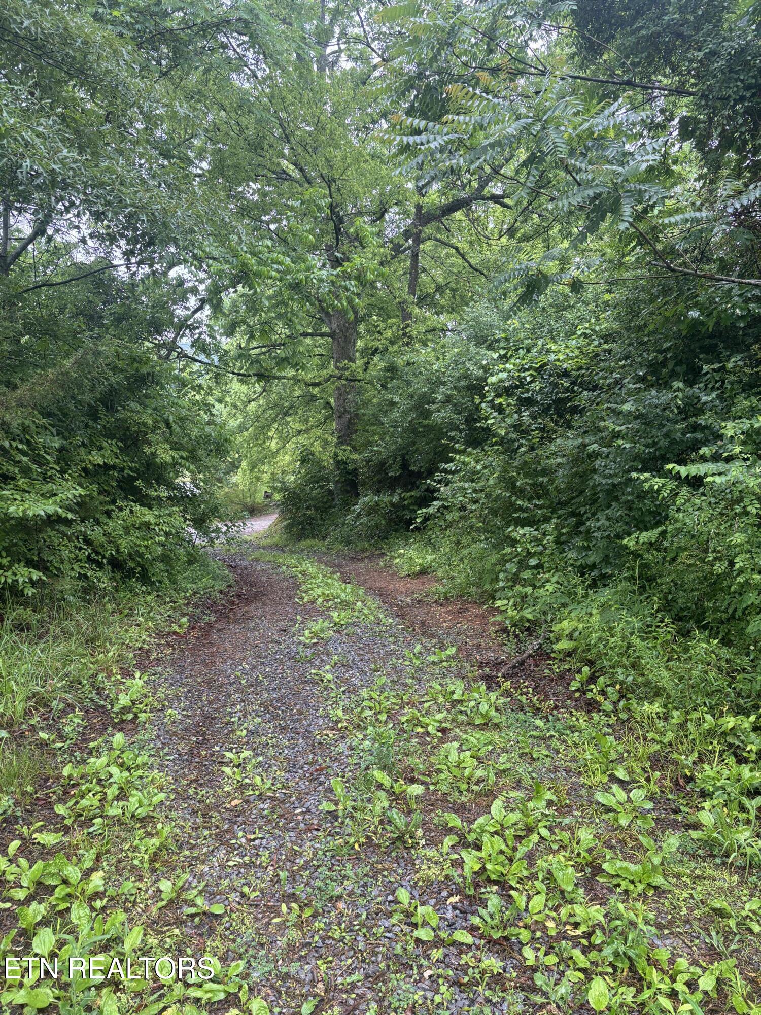 Morrell Springs Road Newport TN 37821
