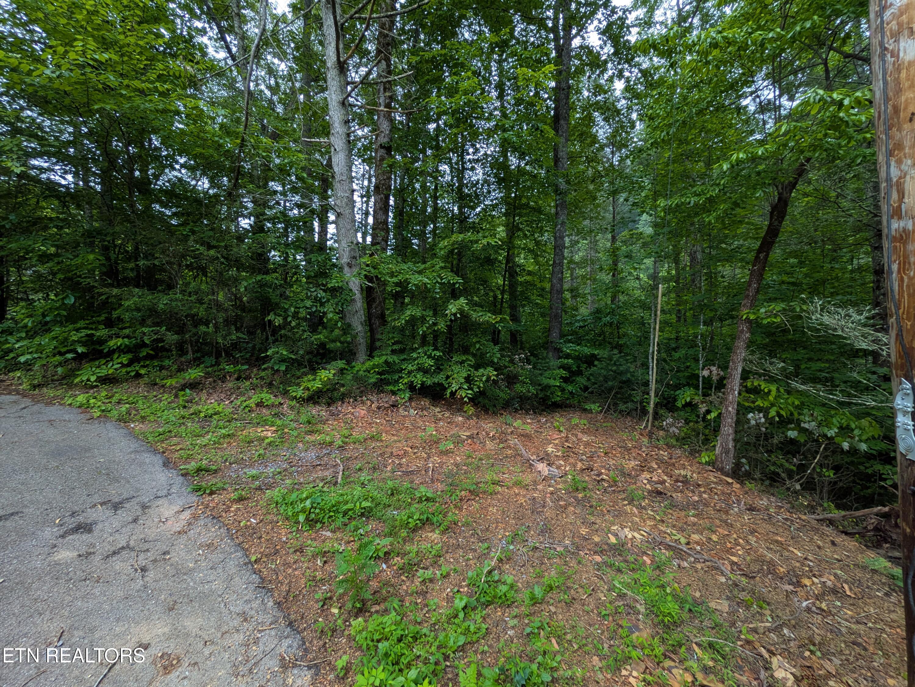 438 Kurt's Corner Road Townsend TN 37882