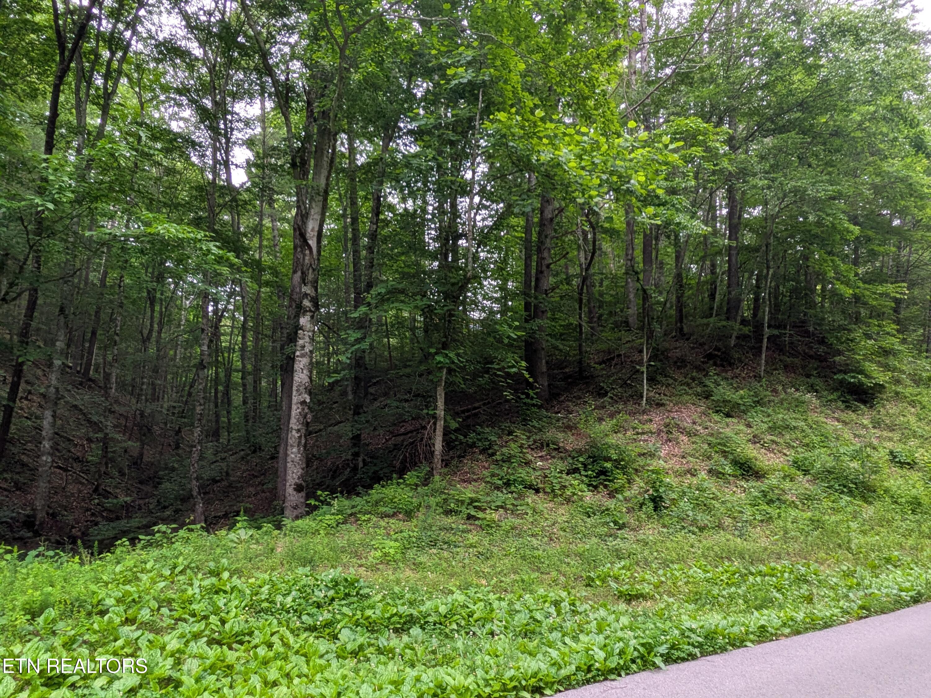 438 Kurt's Corner Road Townsend TN 37882