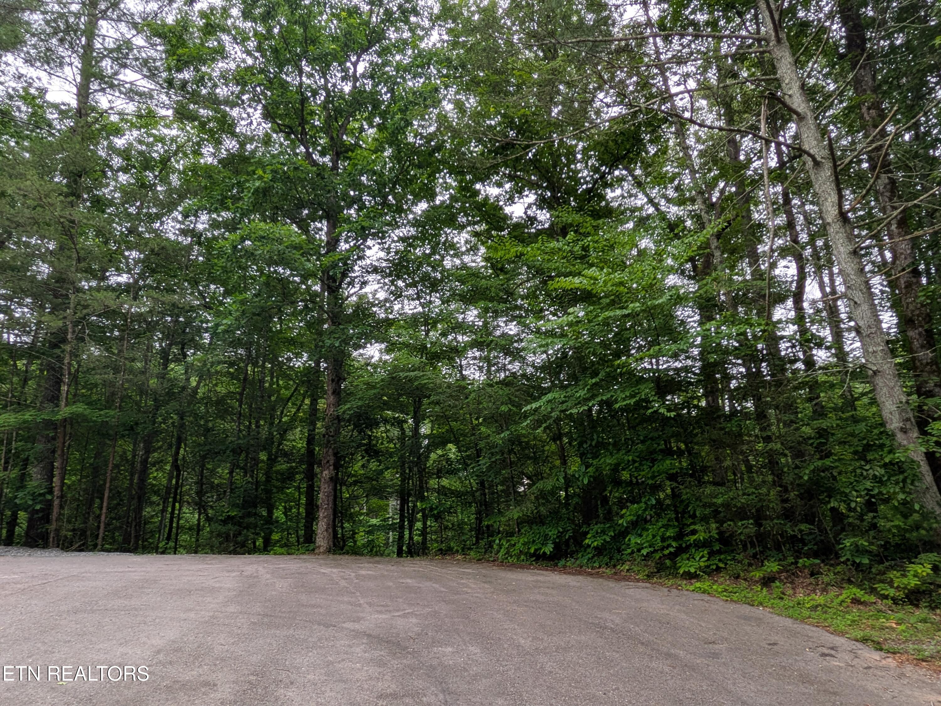 438 Kurt's Corner Road Townsend TN 37882