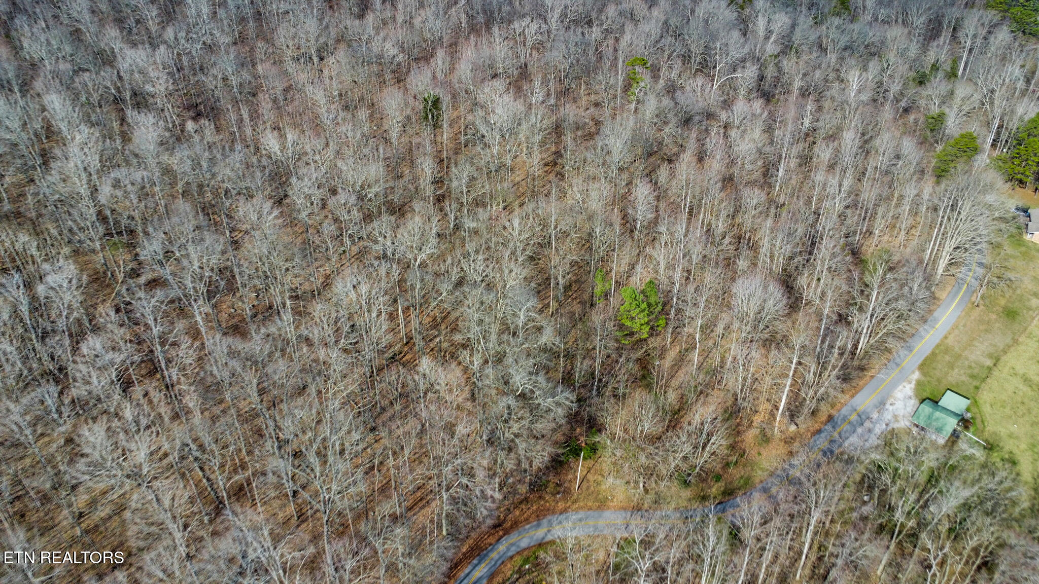 Shellotte Loop Pall Mall TN 38577
