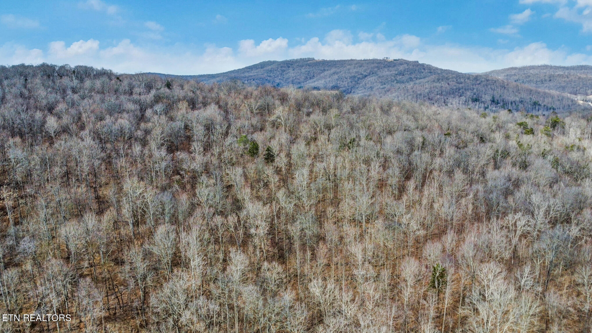 Shellotte Loop Pall Mall TN 38577