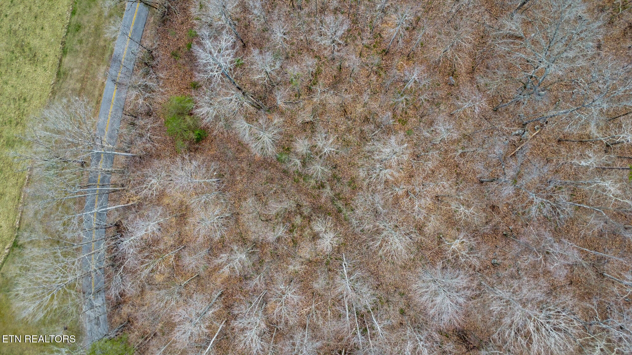 Shellotte Loop Pall Mall TN 38577