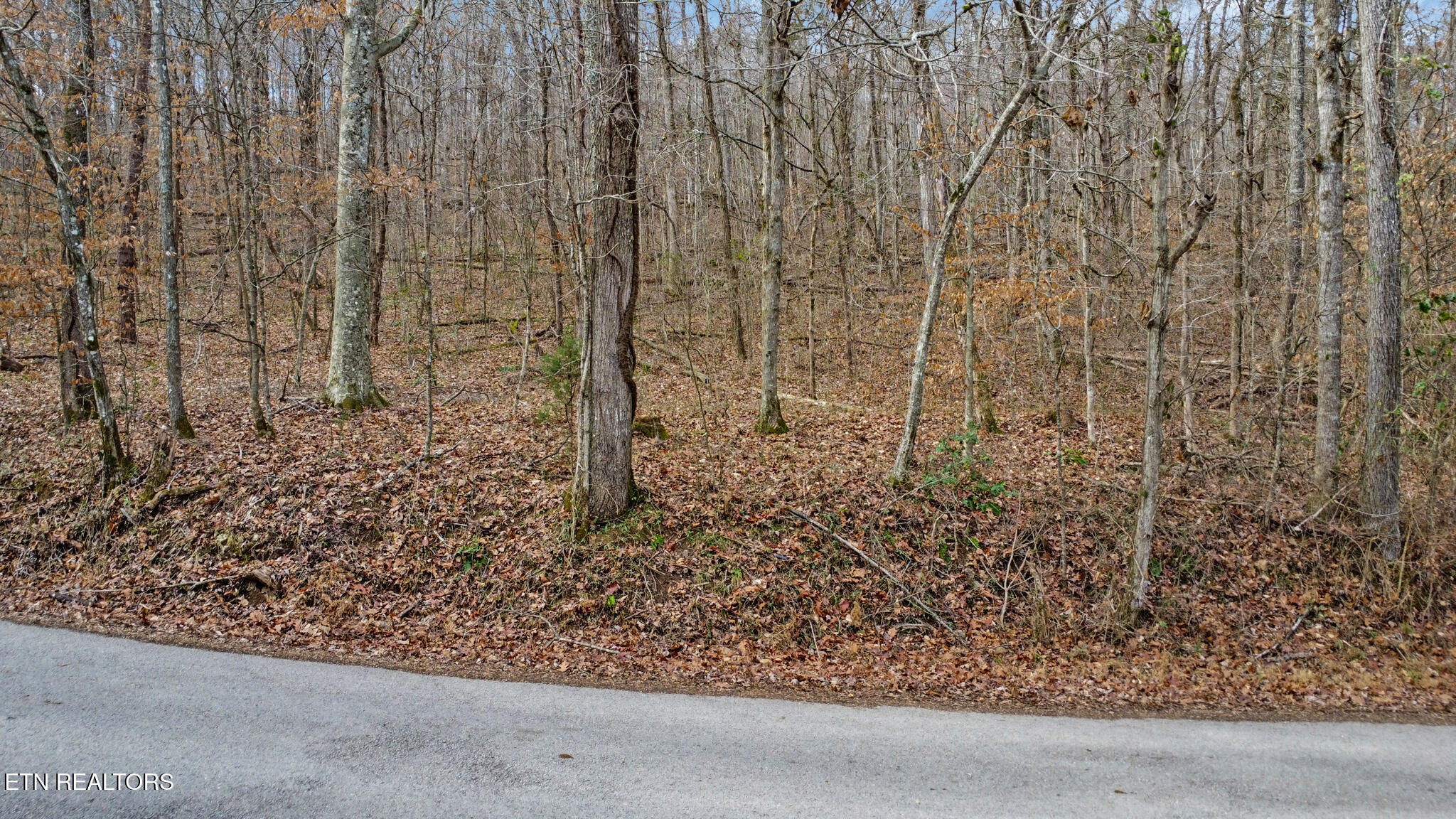 Shellotte Loop Pall Mall TN 38577