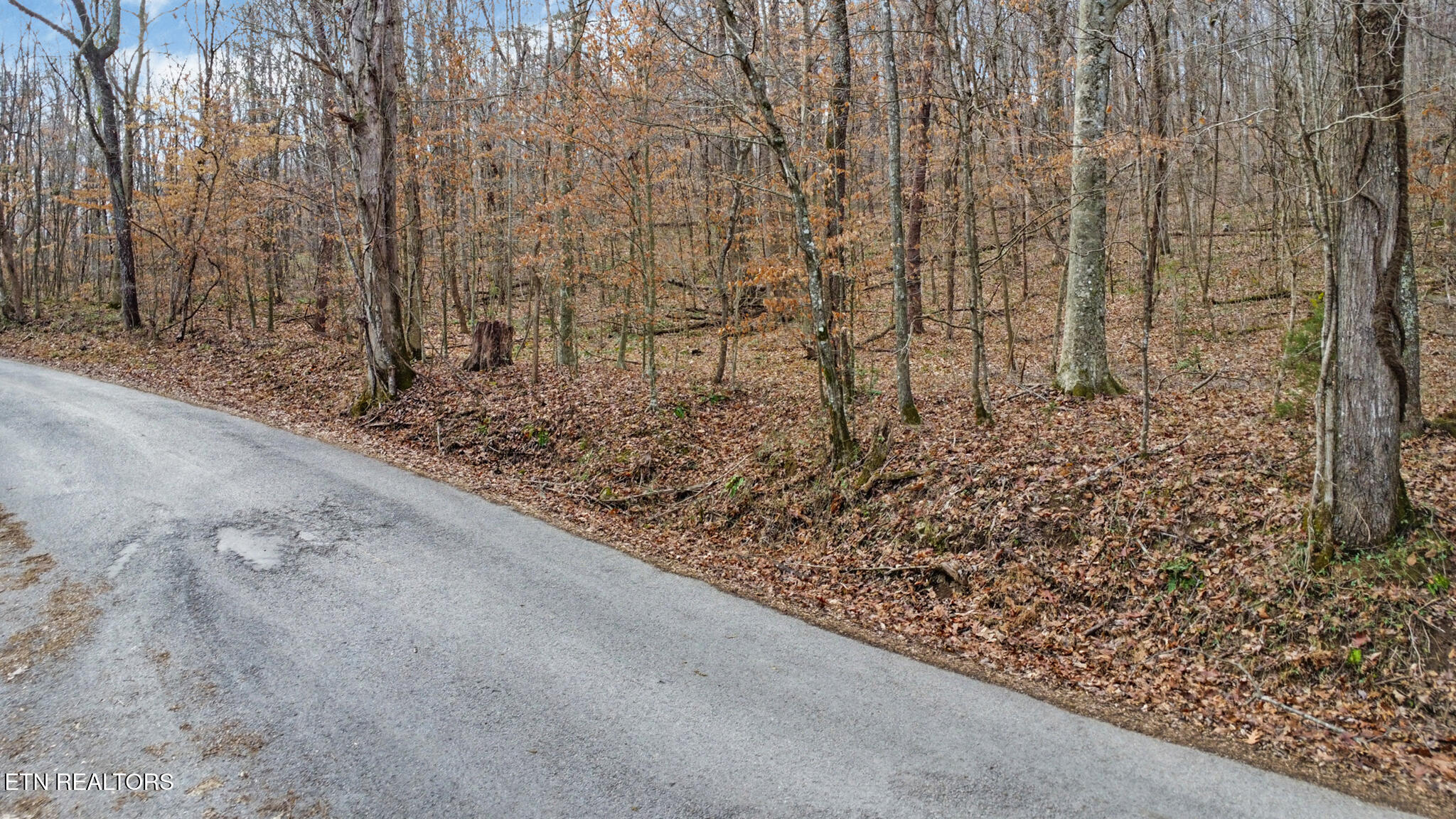 Shellotte Loop Pall Mall TN 38577