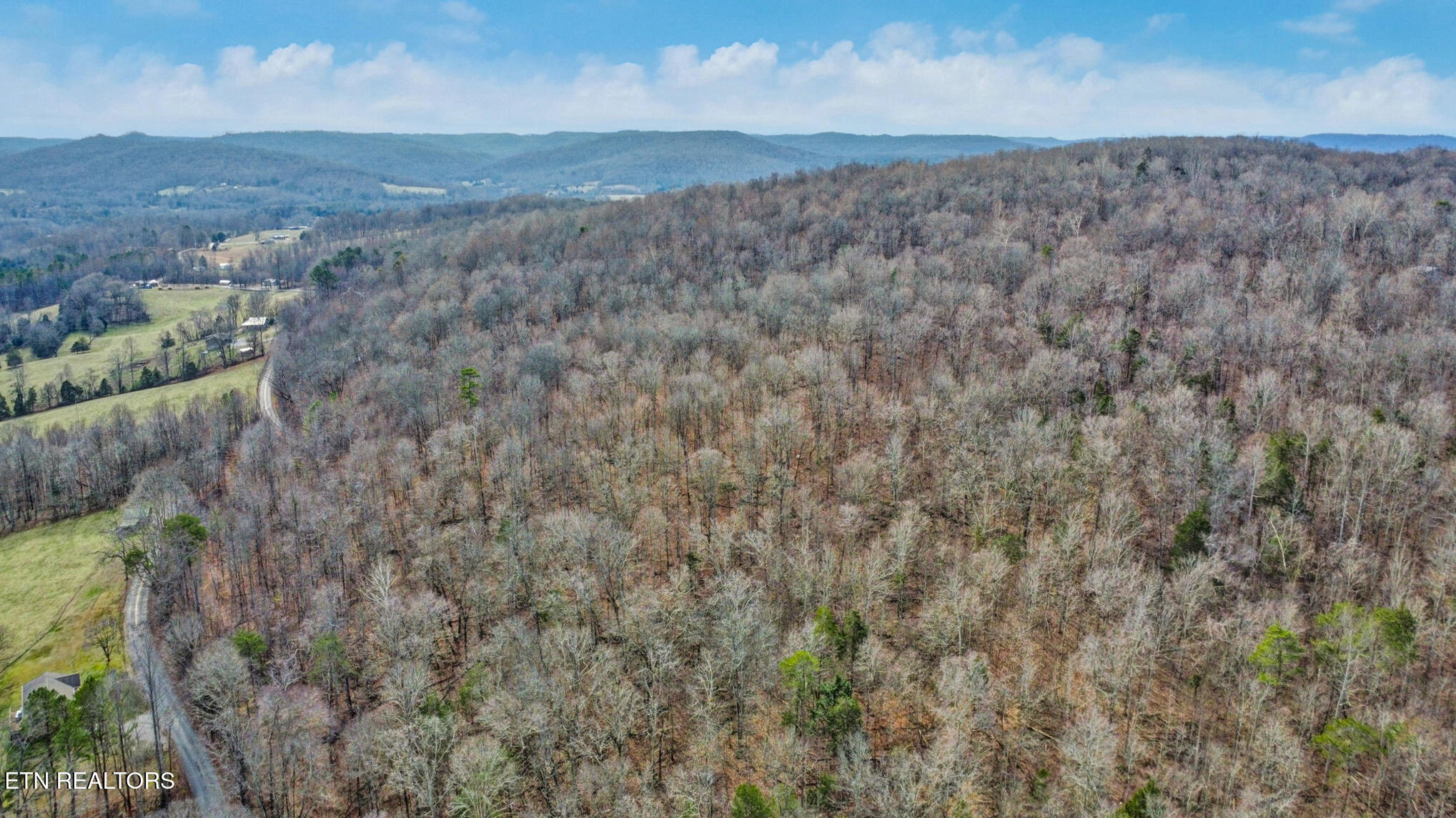 Shellotte Loop Pall Mall TN 38577
