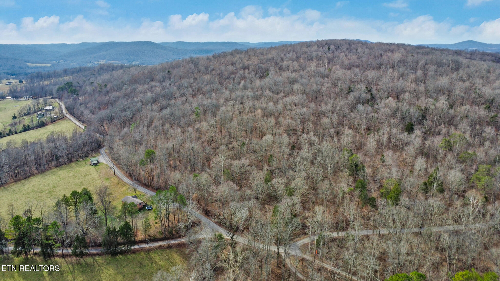 Shellotte Loop Pall Mall TN 38577