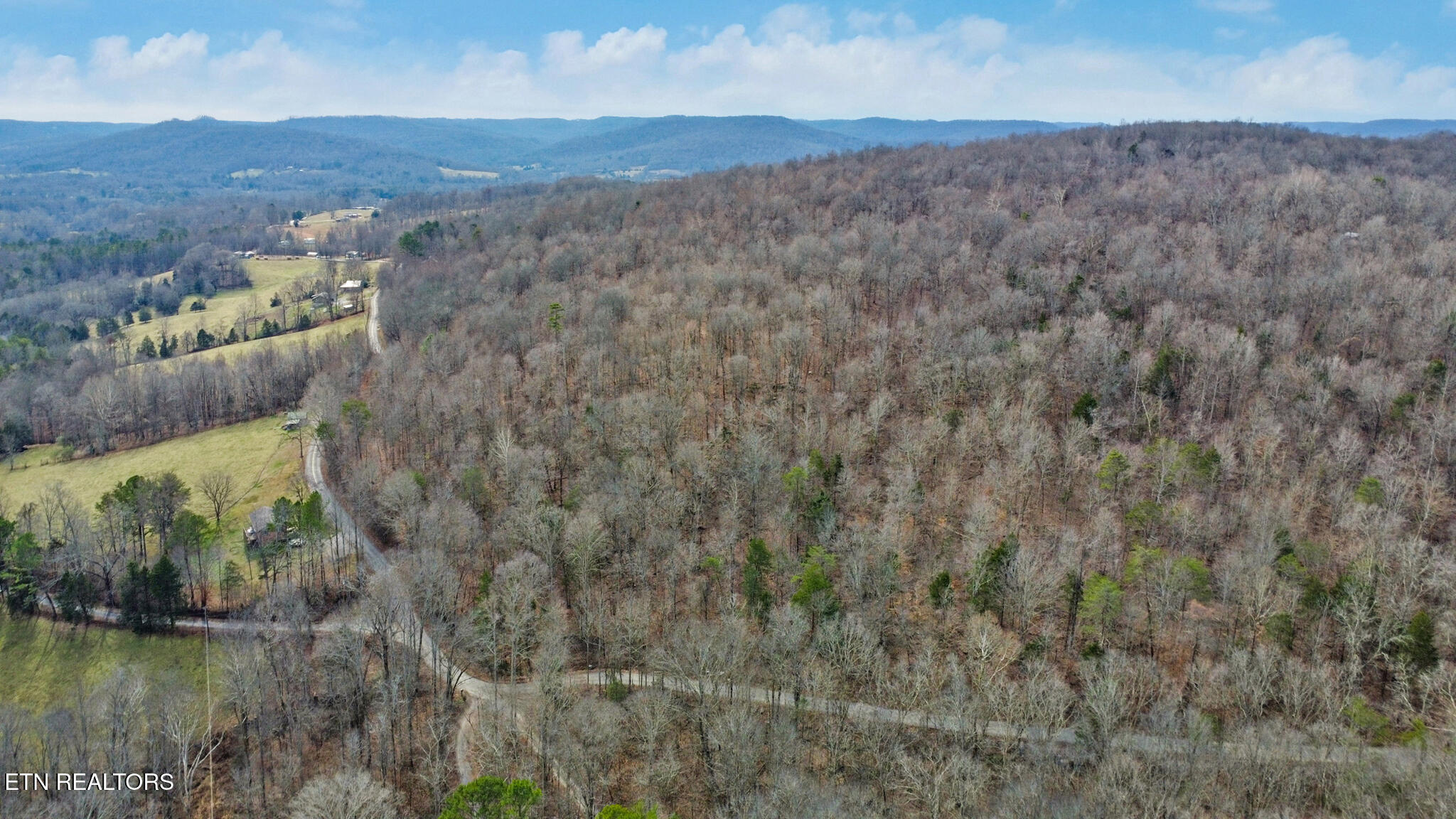 Shellotte Loop Pall Mall TN 38577
