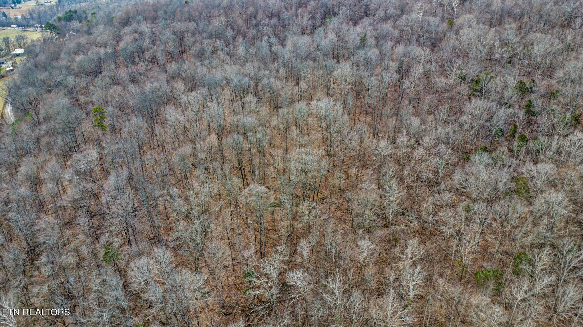 Shellotte Loop Pall Mall TN 38577