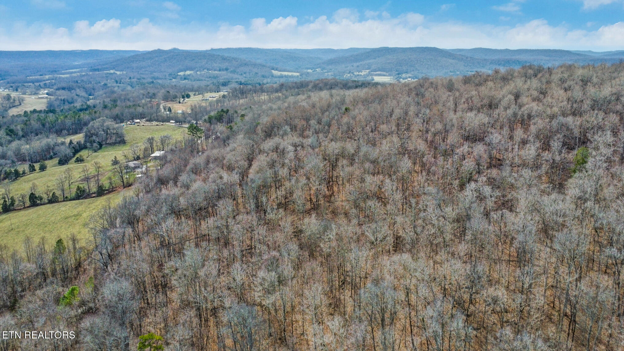 Shellotte Loop Pall Mall TN 38577