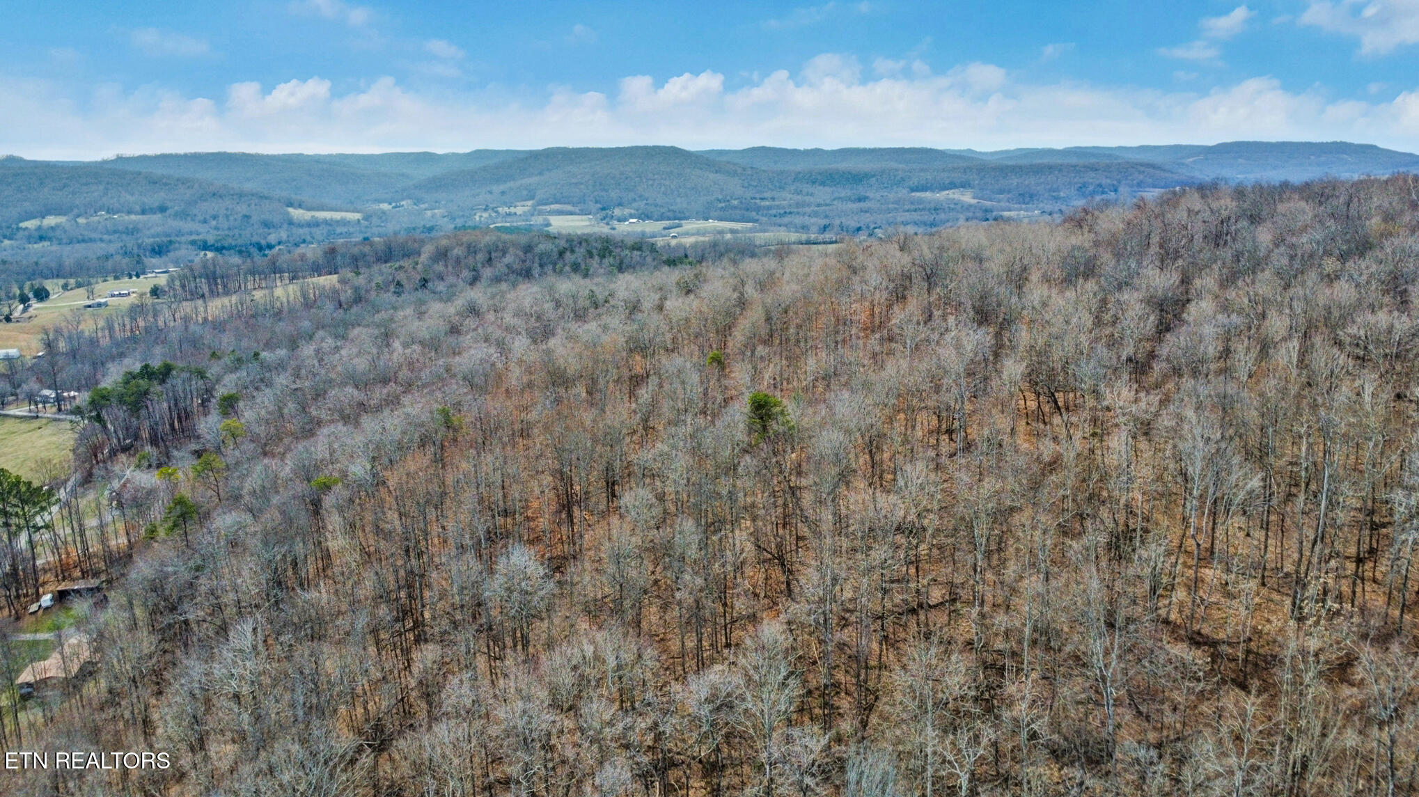 Shellotte Loop Pall Mall TN 38577