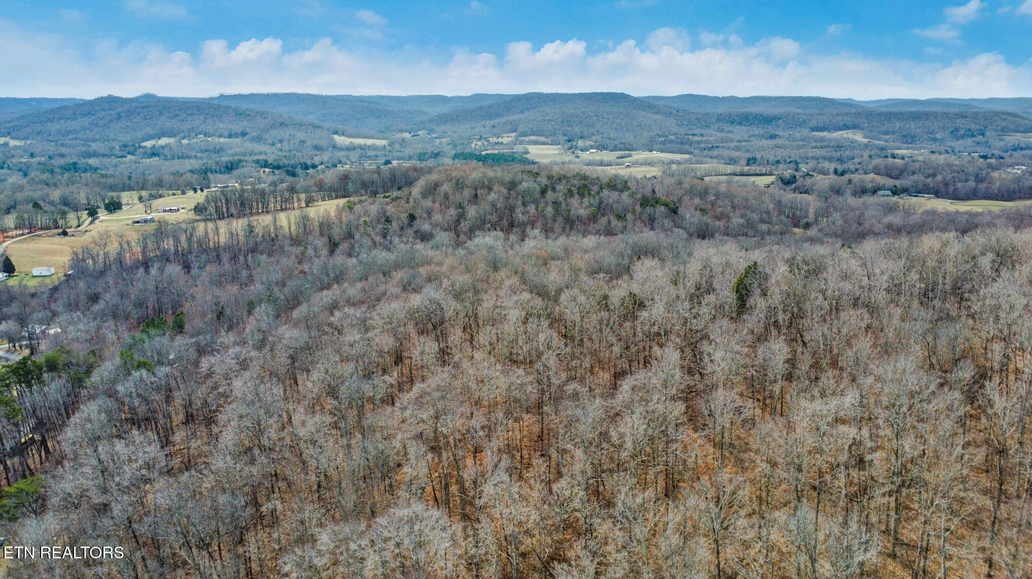 Shellotte Loop Pall Mall TN 38577