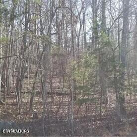 26 Harley Circle Fairfield Glade TN 38558