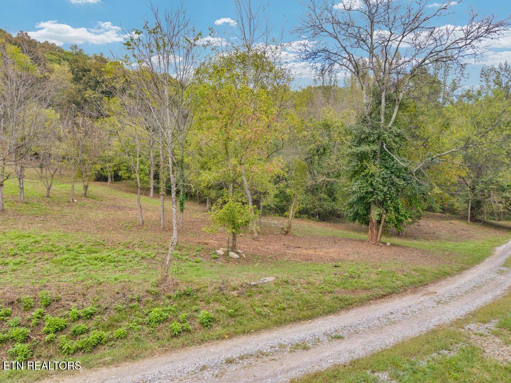 21.03 Ac Watts Hollow Road Buffalo Valley TN 38548