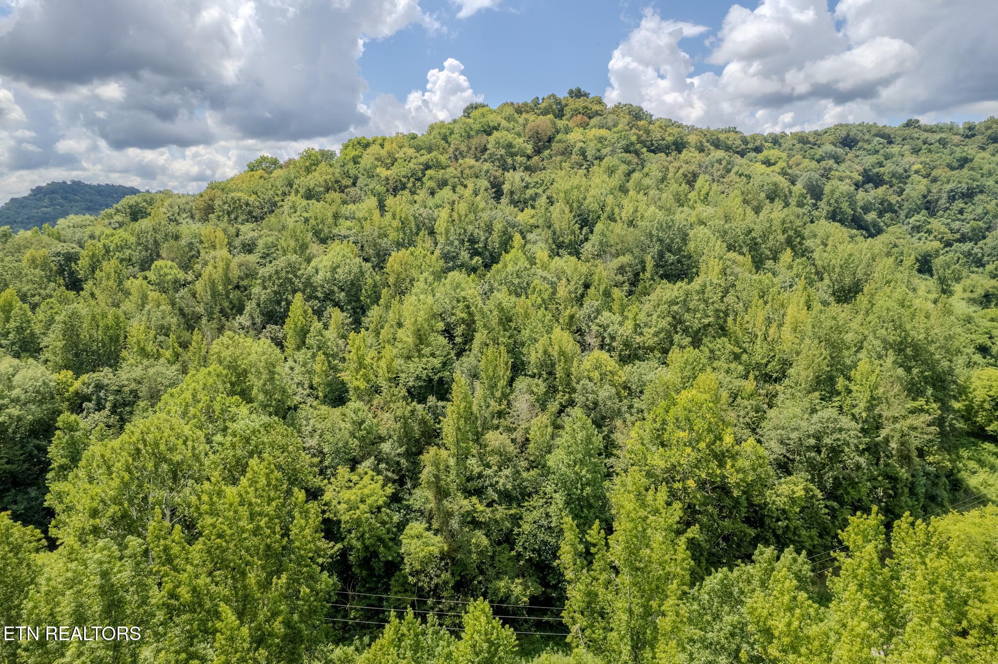 21.03 Ac Watts Hollow Road Buffalo Valley TN 38548