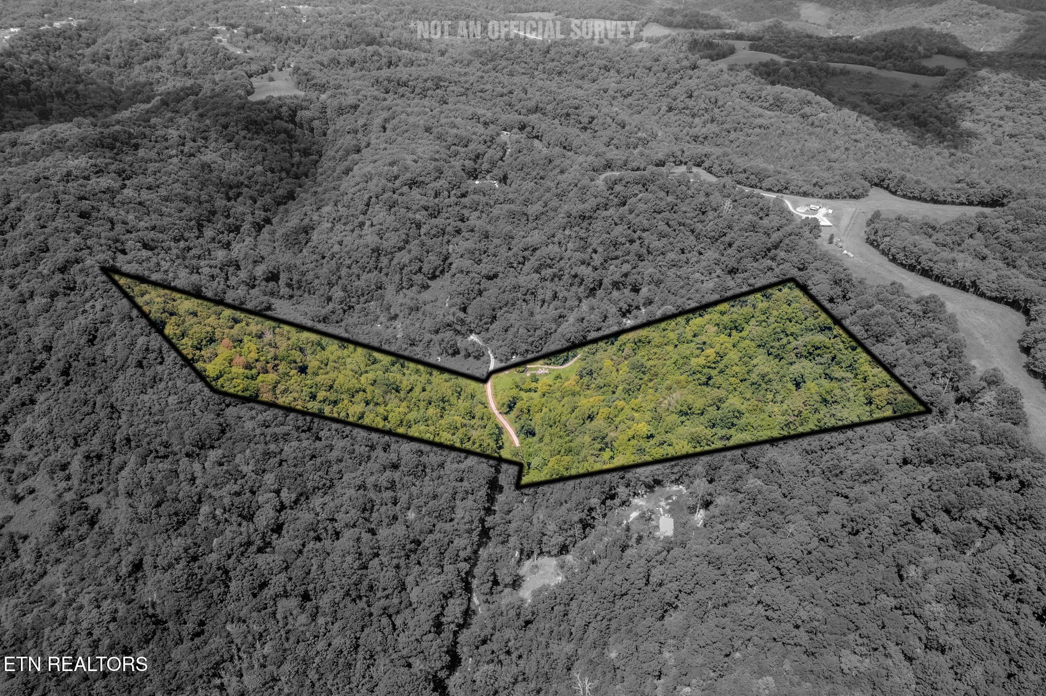 21.03 Ac Watts Hollow Road Buffalo Valley TN 38548