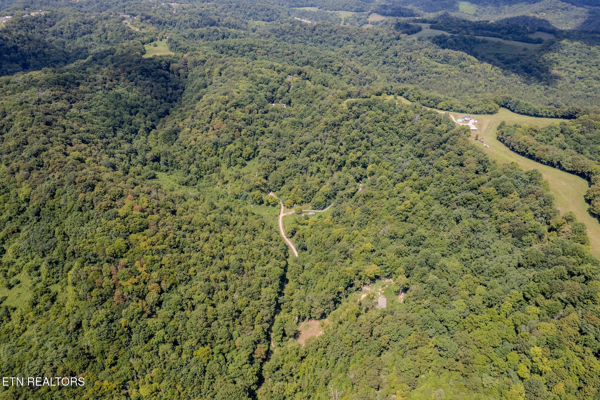 21.03 Ac Watts Hollow Road Buffalo Valley TN 38548