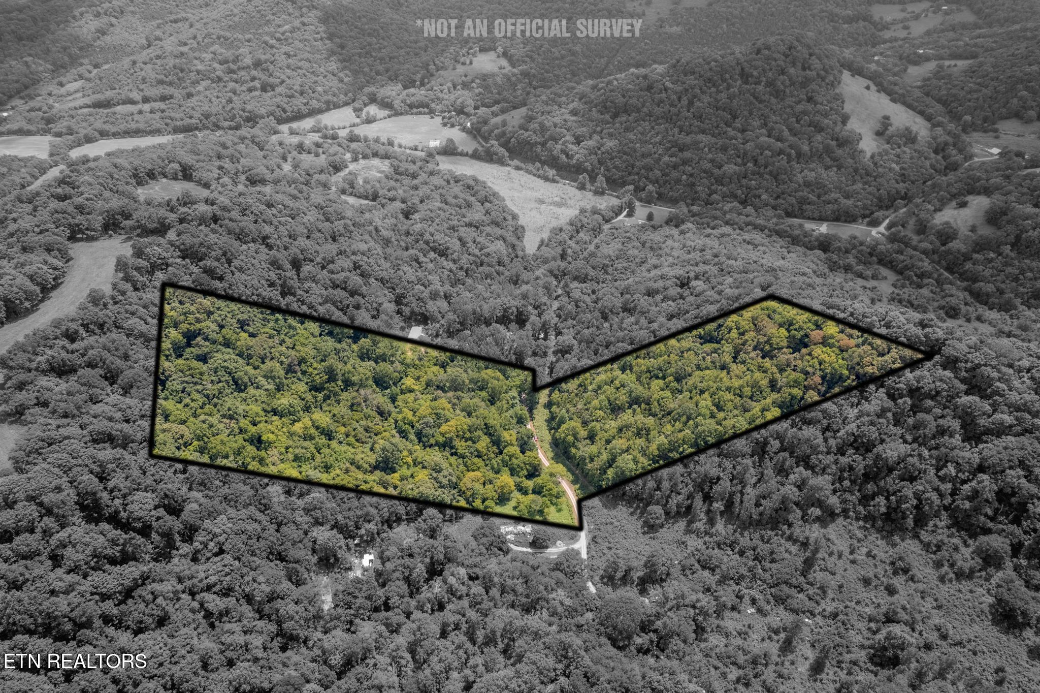21.03 Ac Watts Hollow Road Buffalo Valley TN 38548
