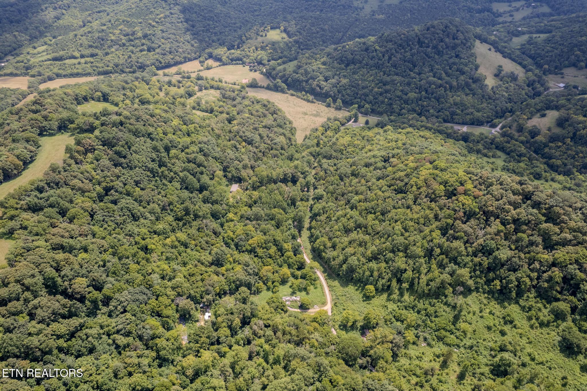 21.03 Ac Watts Hollow Road Buffalo Valley TN 38548
