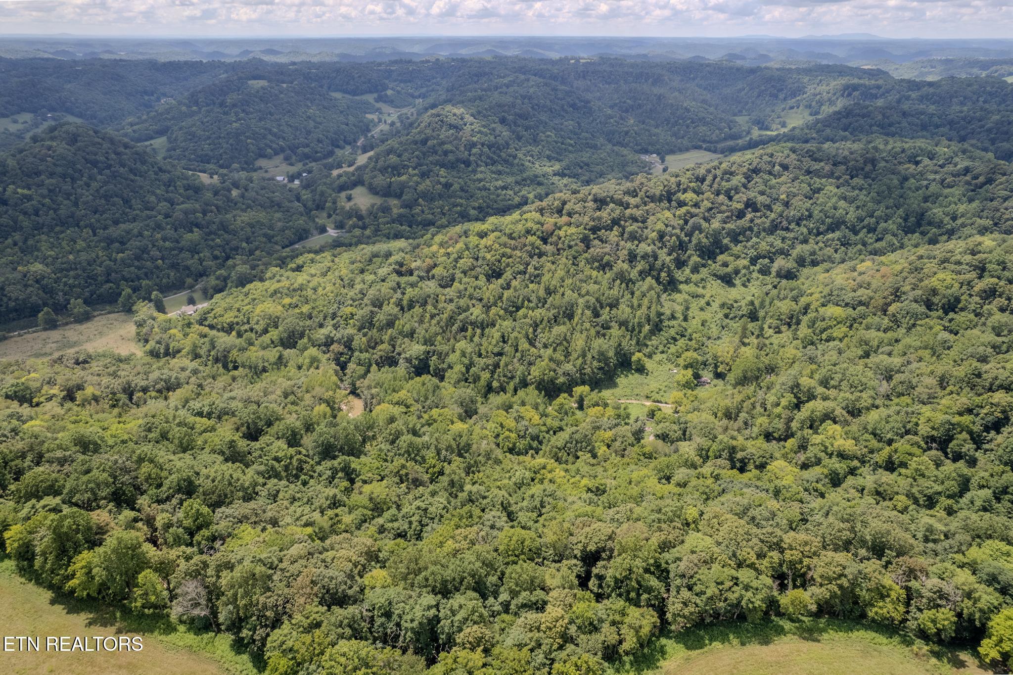 21.03 Ac Watts Hollow Road Buffalo Valley TN 38548