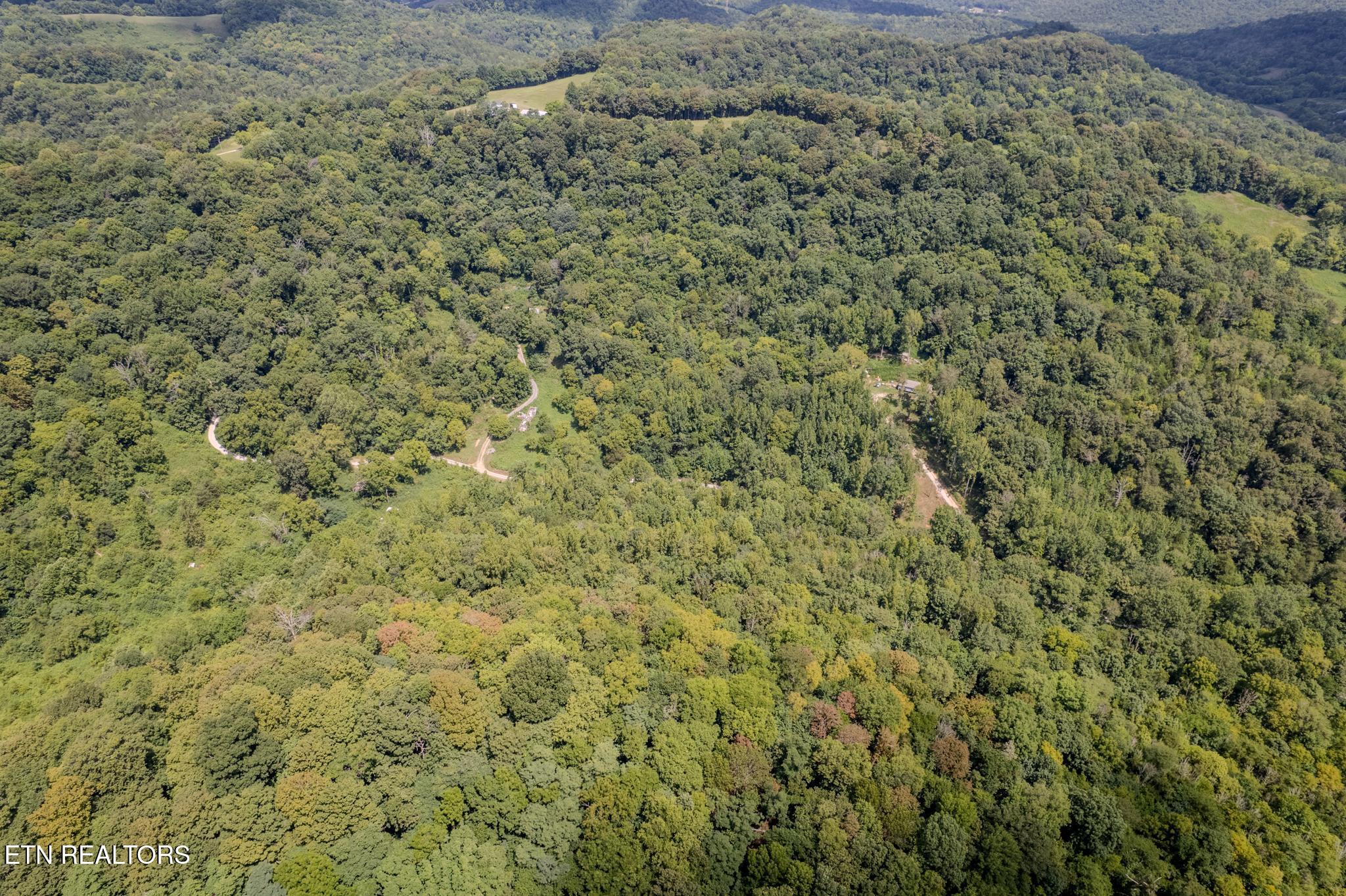 21.03 Ac Watts Hollow Road Buffalo Valley TN 38548