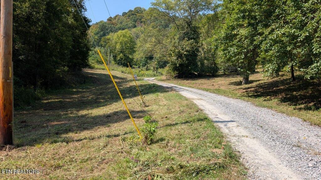 21.03 Ac Watts Hollow Road Buffalo Valley TN 38548