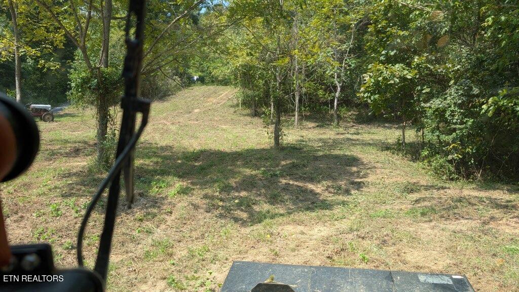 21.03 Ac Watts Hollow Road Buffalo Valley TN 38548