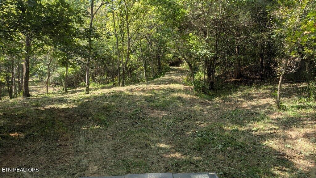 21.03 Ac Watts Hollow Road Buffalo Valley TN 38548