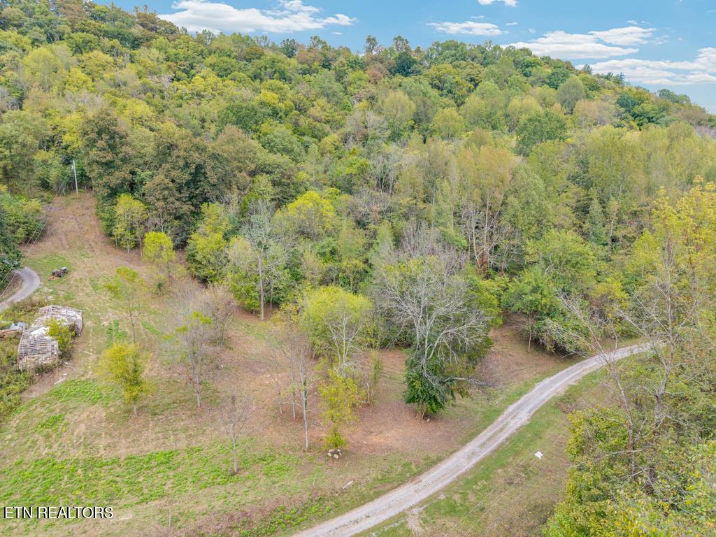 21.03 Ac Watts Hollow Road Buffalo Valley TN 38548