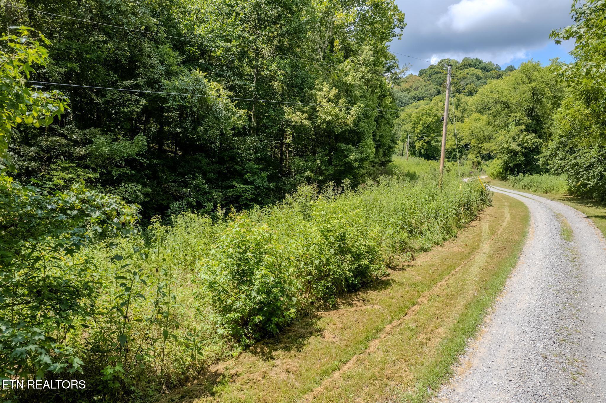 21.03 Ac Watts Hollow Road Buffalo Valley TN 38548