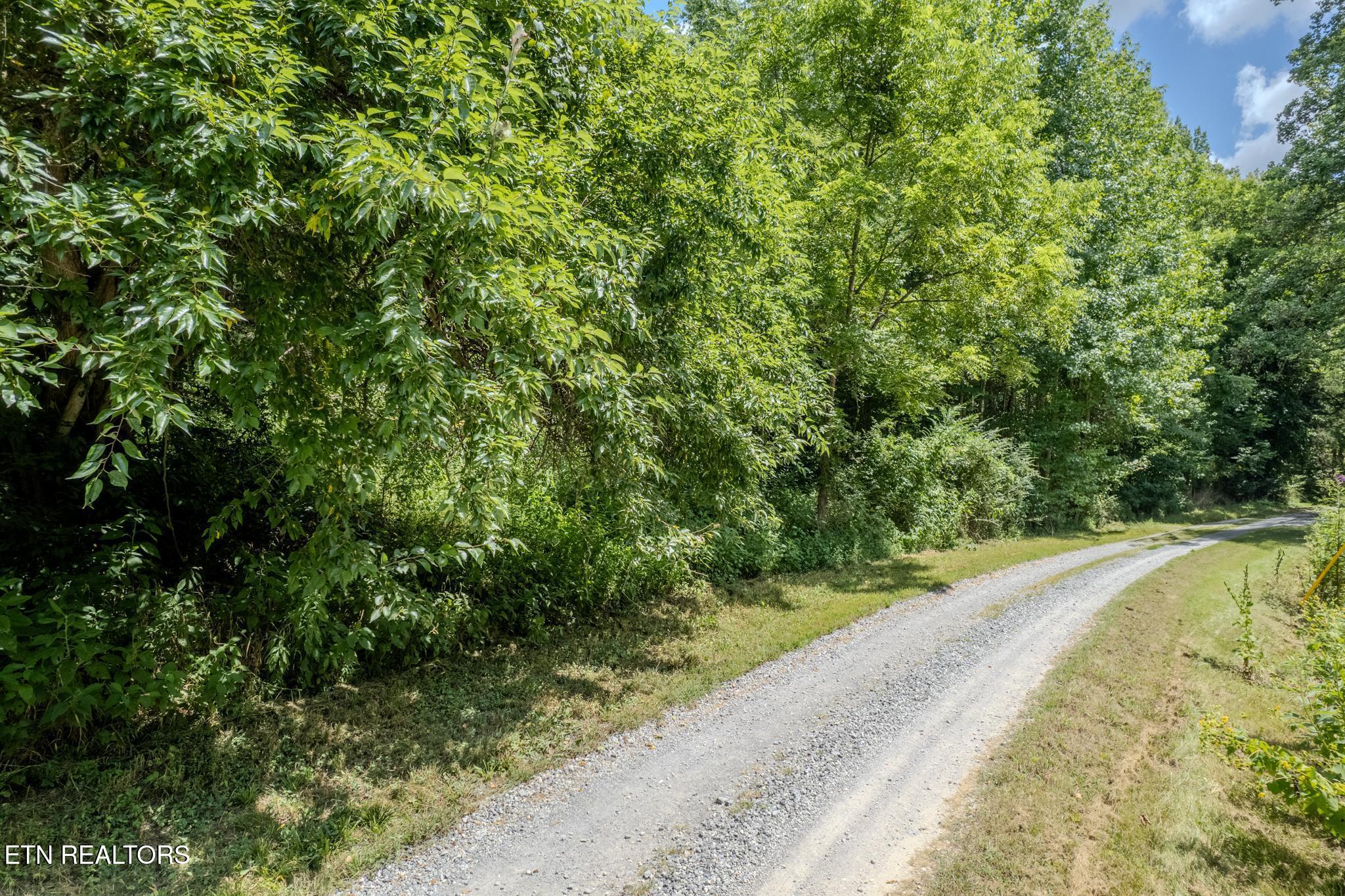 21.03 Ac Watts Hollow Road Buffalo Valley TN 38548