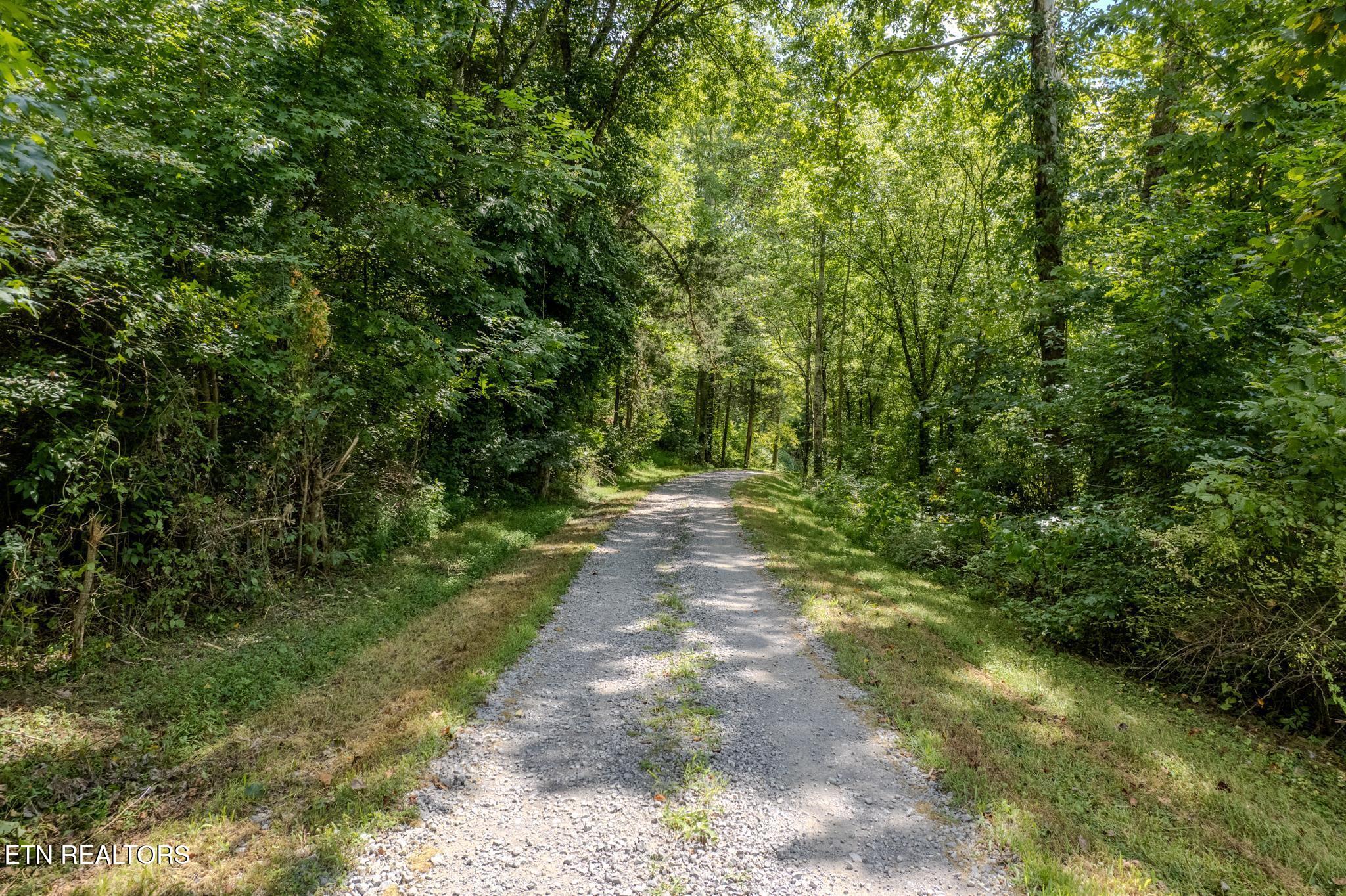 21.03 Ac Watts Hollow Road Buffalo Valley TN 38548