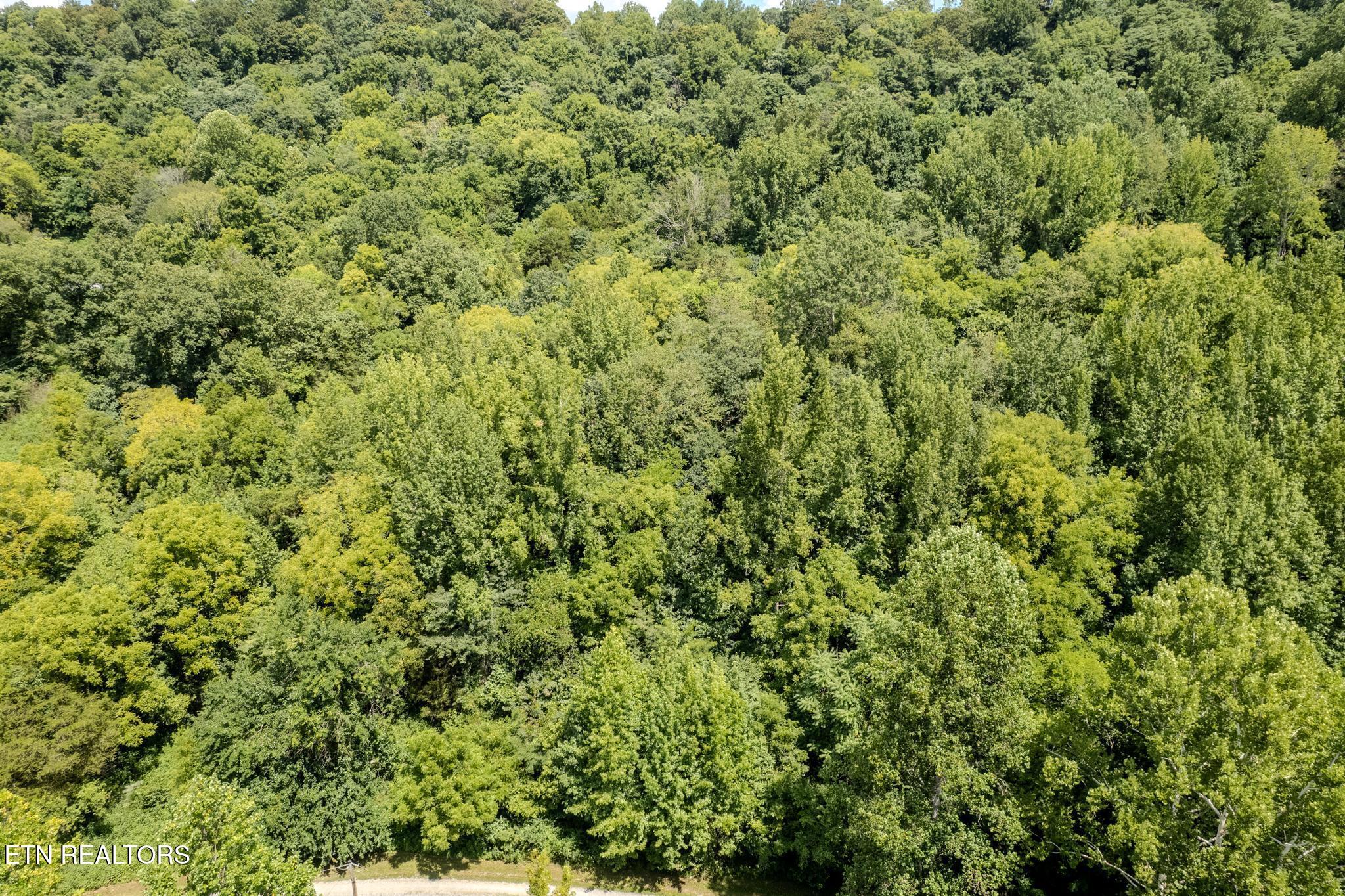 21.03 Ac Watts Hollow Road Buffalo Valley TN 38548