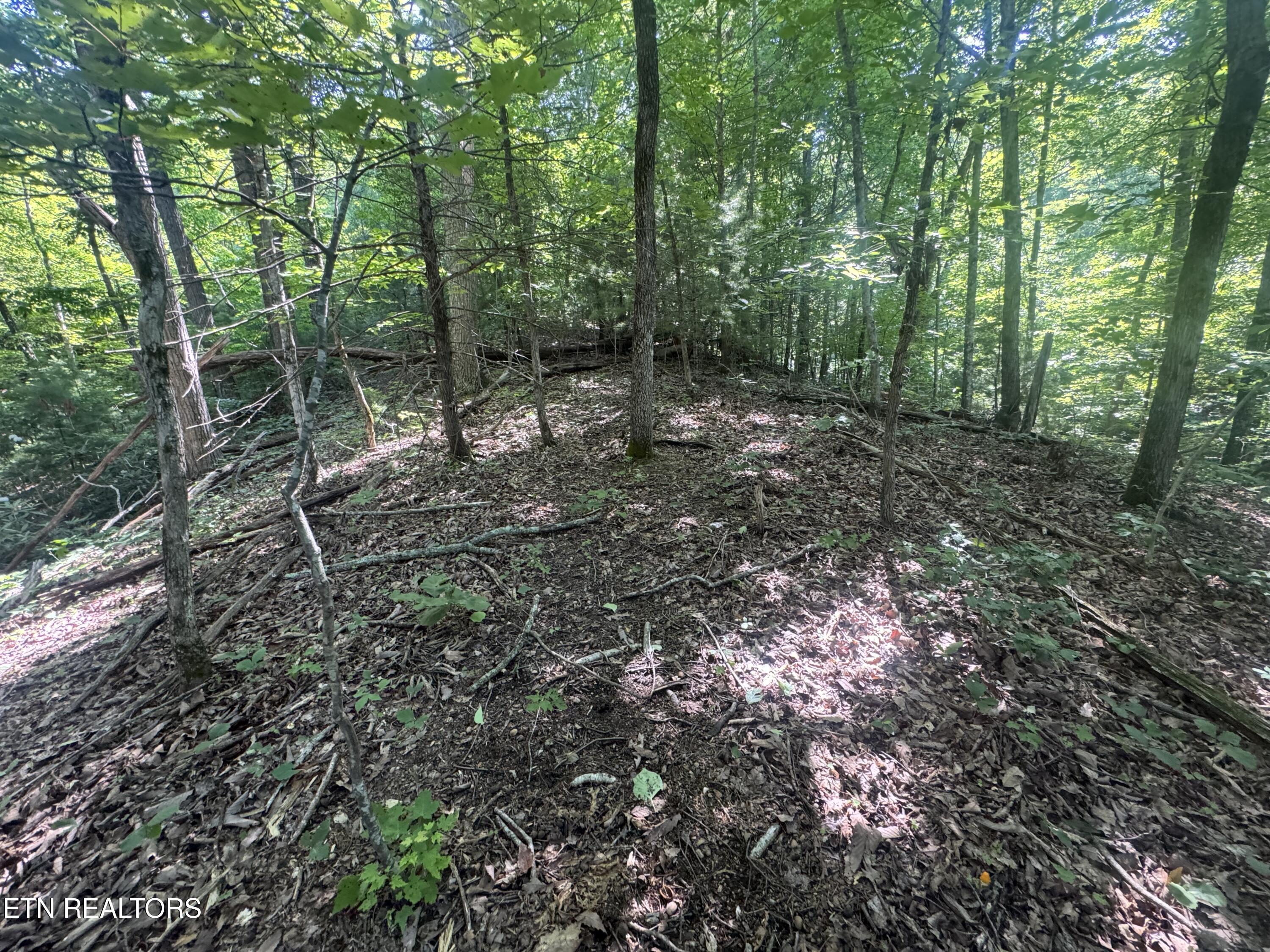 332 Padgett Mill Road Cosby TN 37722