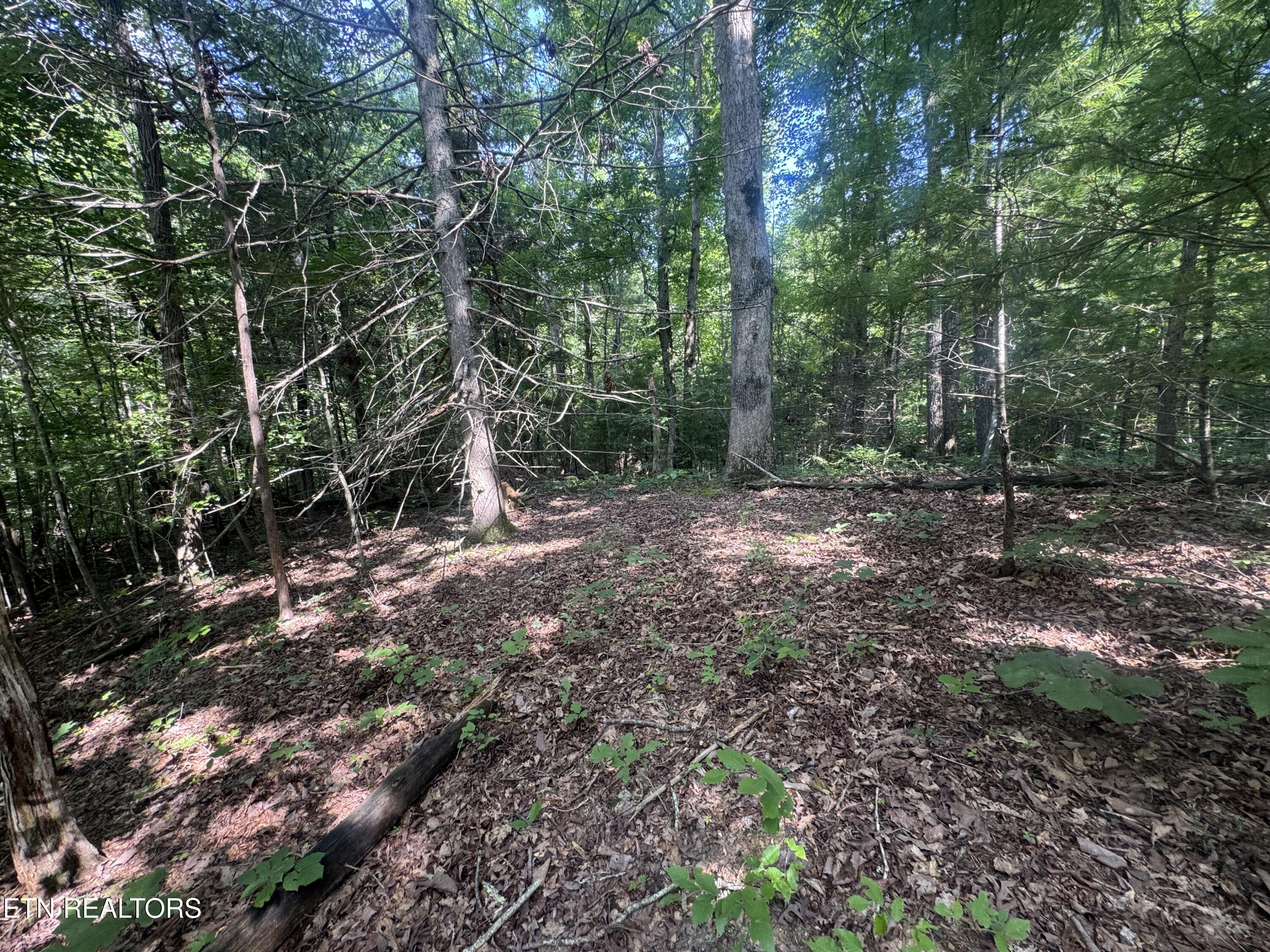 332 Padgett Mill Road Cosby TN 37722