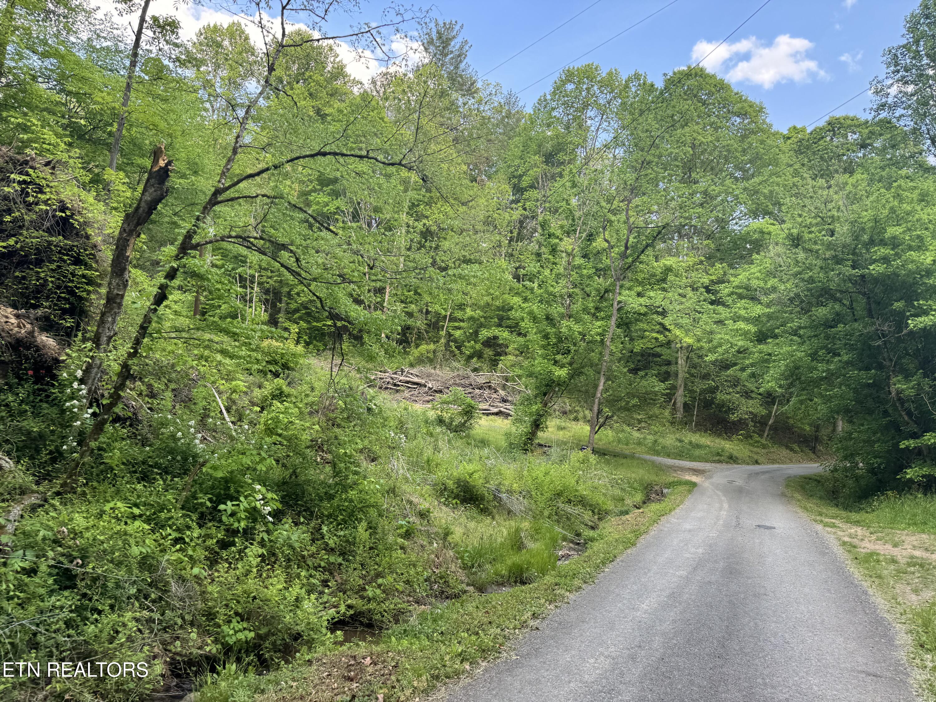 332 Padgett Mill Road Cosby TN 37722