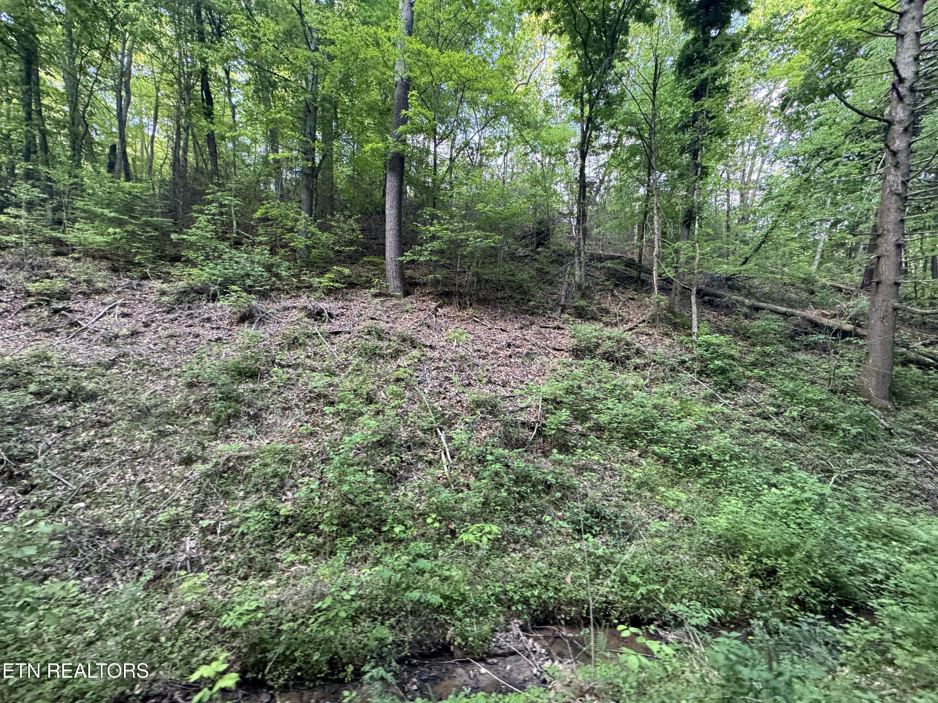 332 Padgett Mill Road Cosby TN 37722