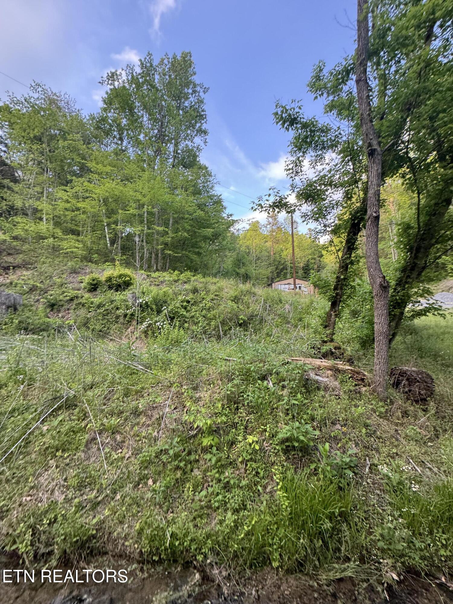 332 Padgett Mill Road Cosby TN 37722
