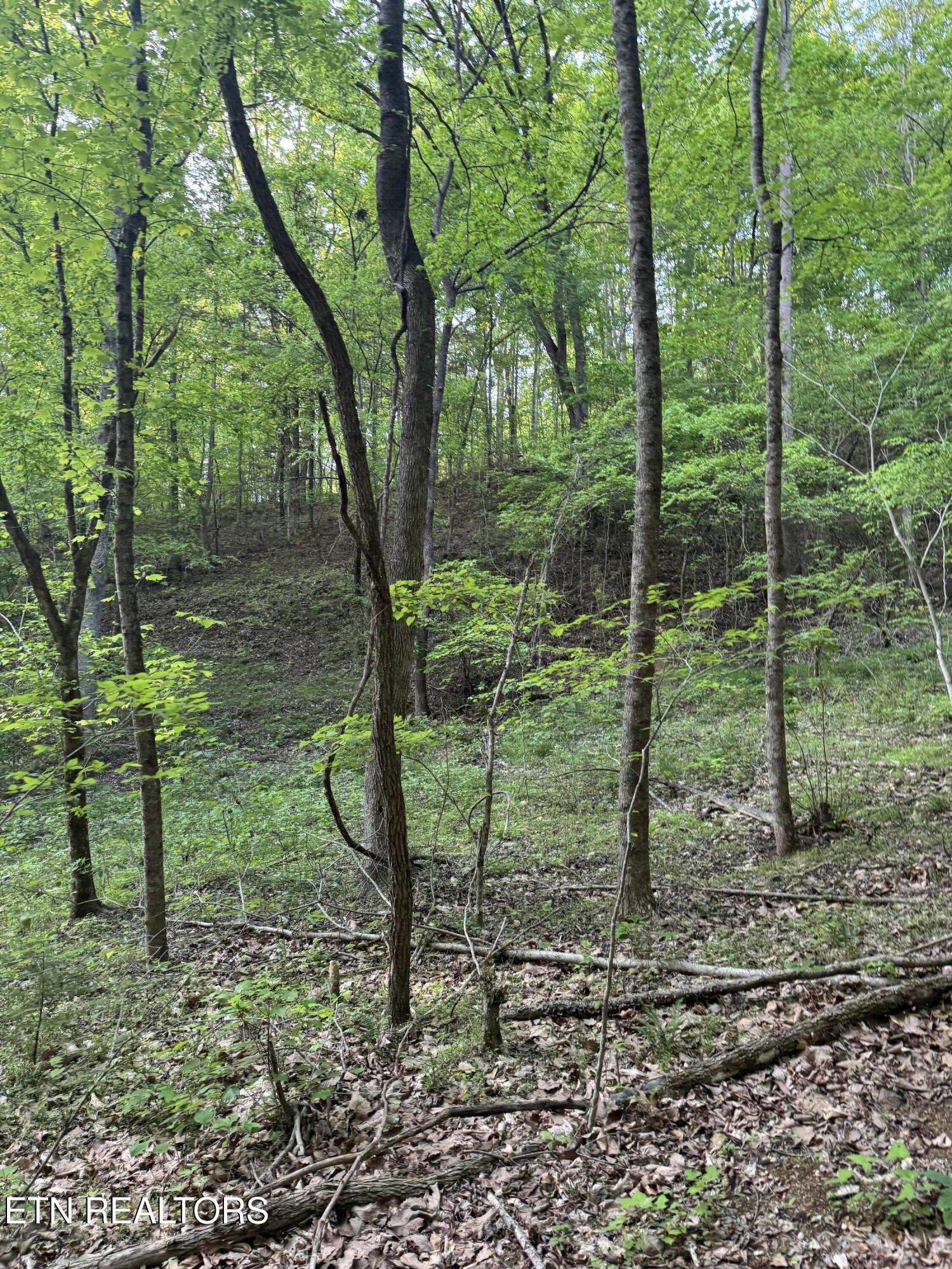 332 Padgett Mill Road Cosby TN 37722
