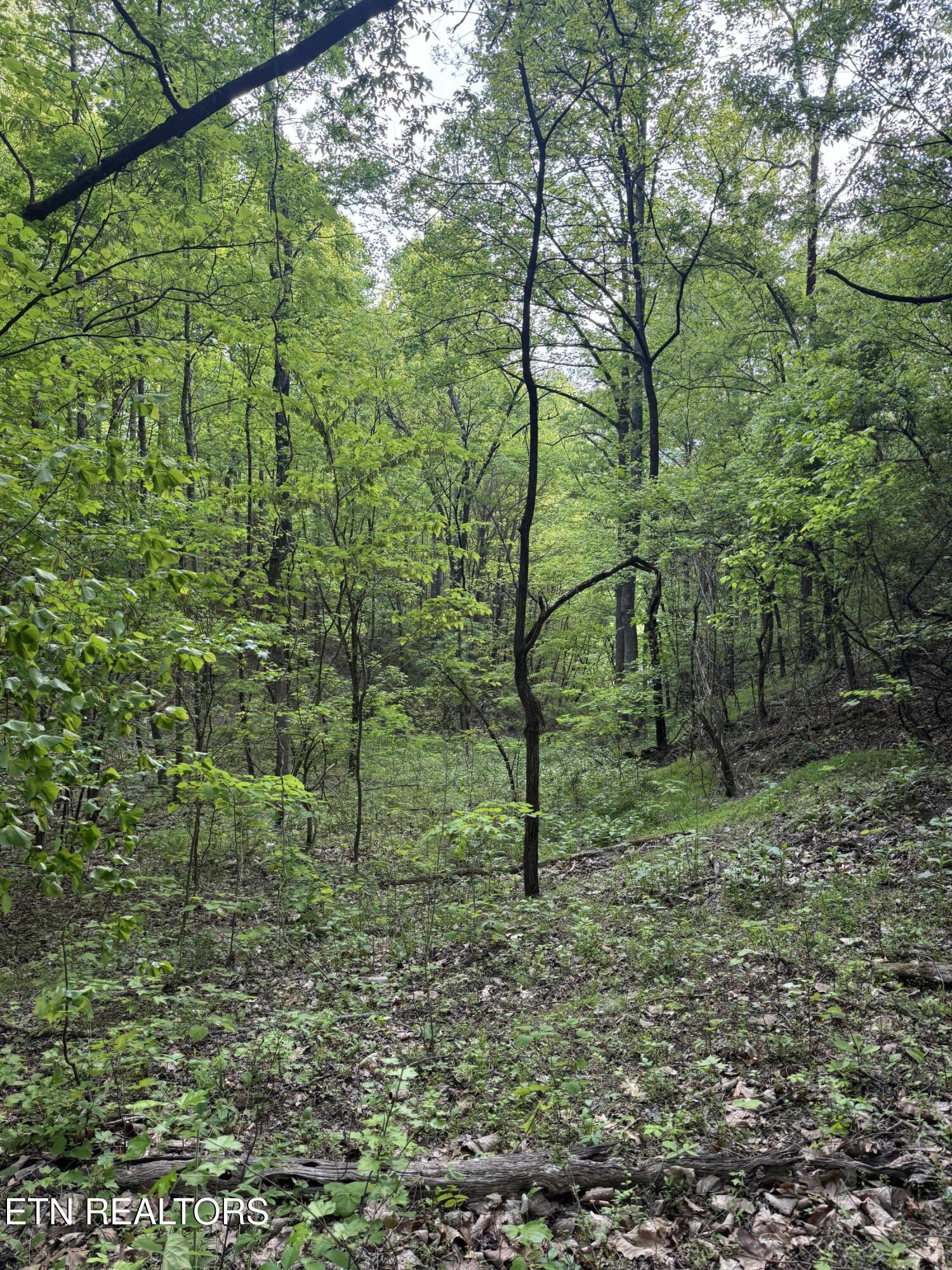332 Padgett Mill Road Cosby TN 37722