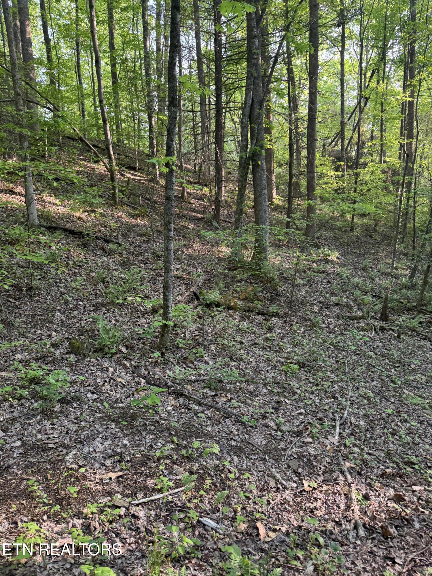 332 Padgett Mill Road Cosby TN 37722