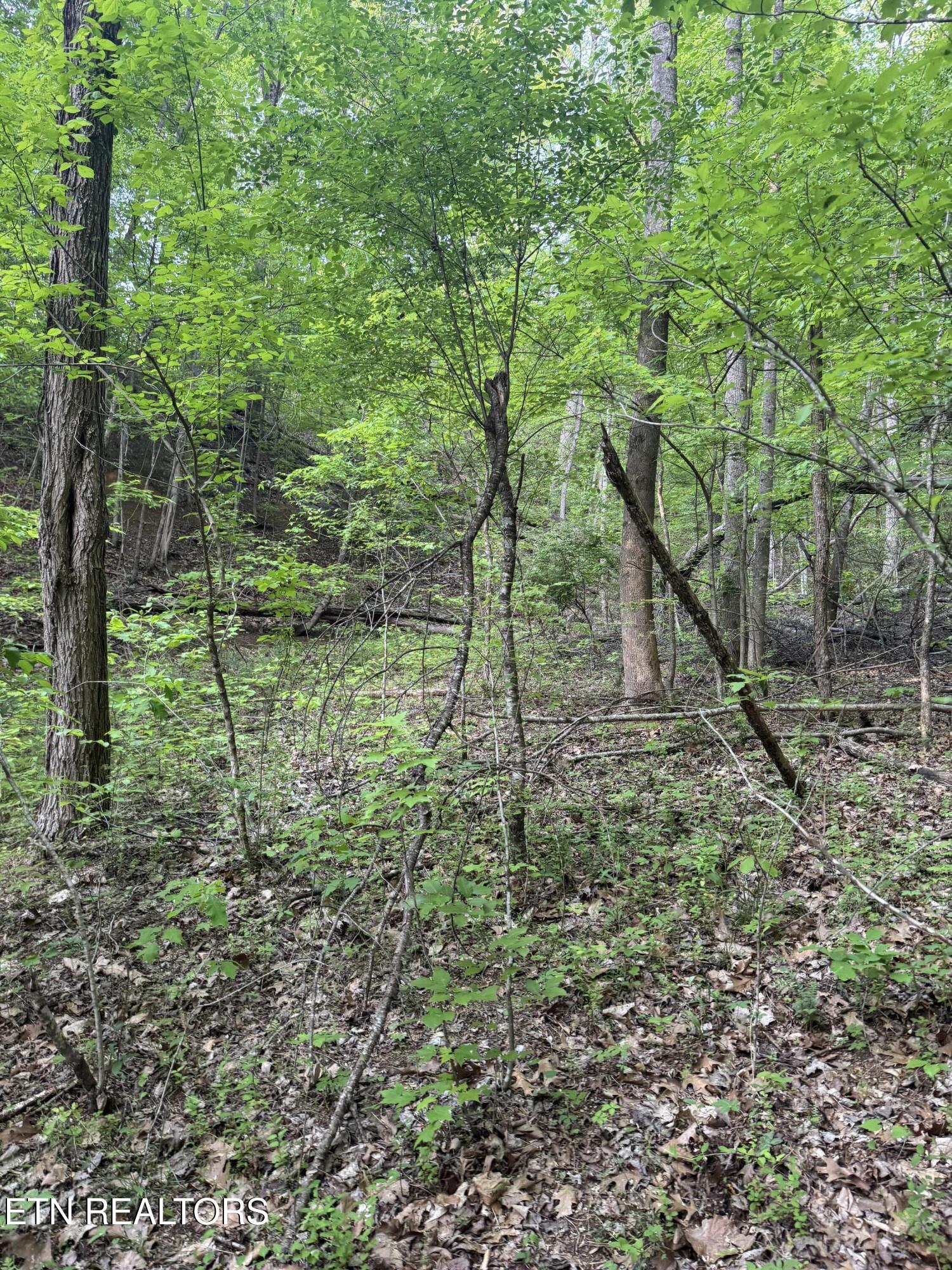 332 Padgett Mill Road Cosby TN 37722