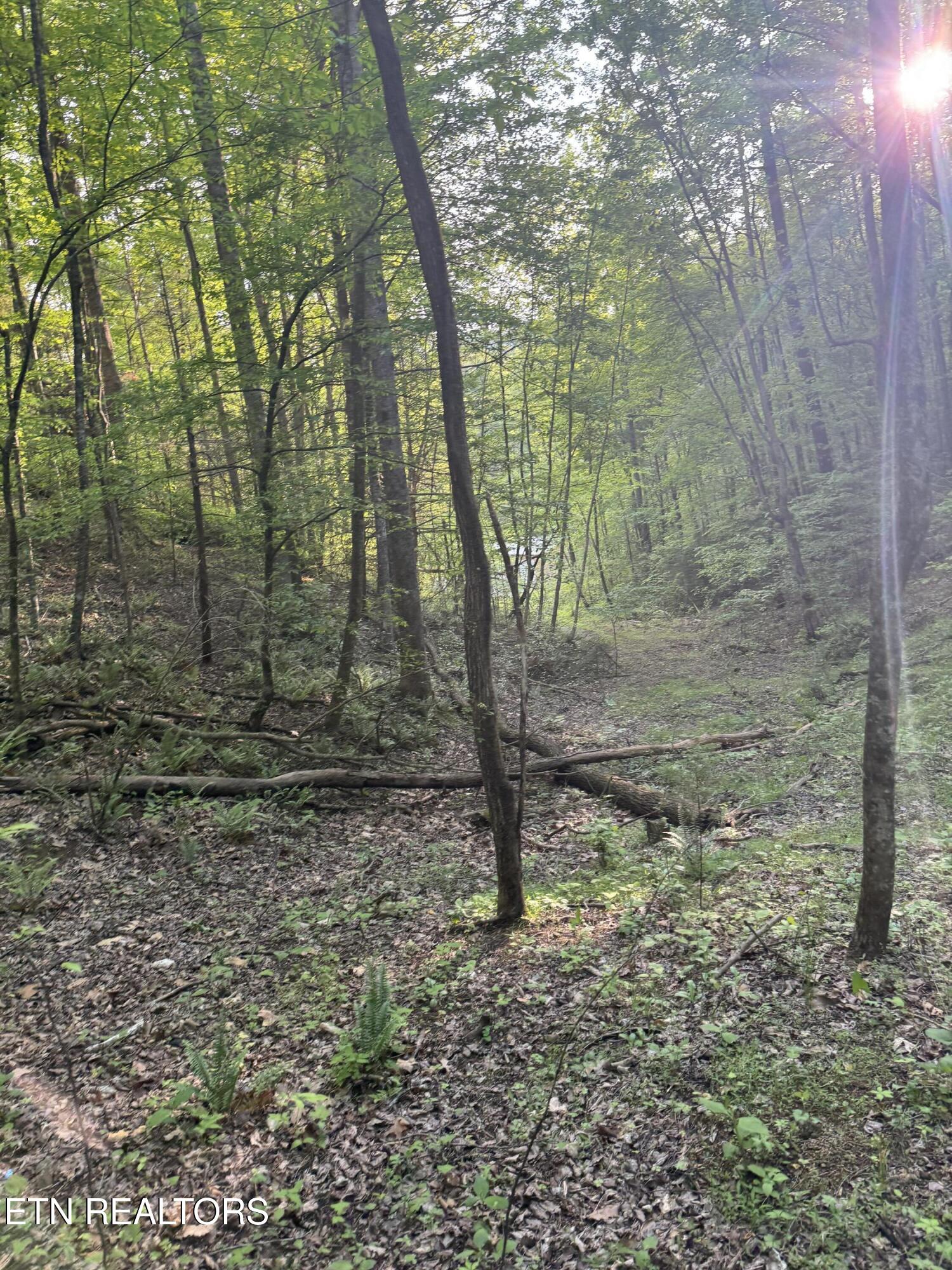 332 Padgett Mill Road Cosby TN 37722