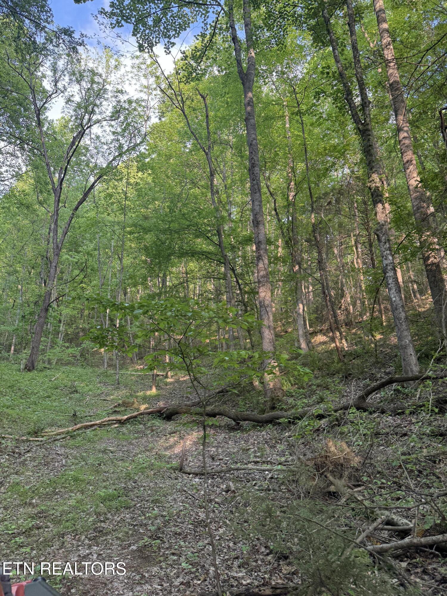 332 Padgett Mill Road Cosby TN 37722