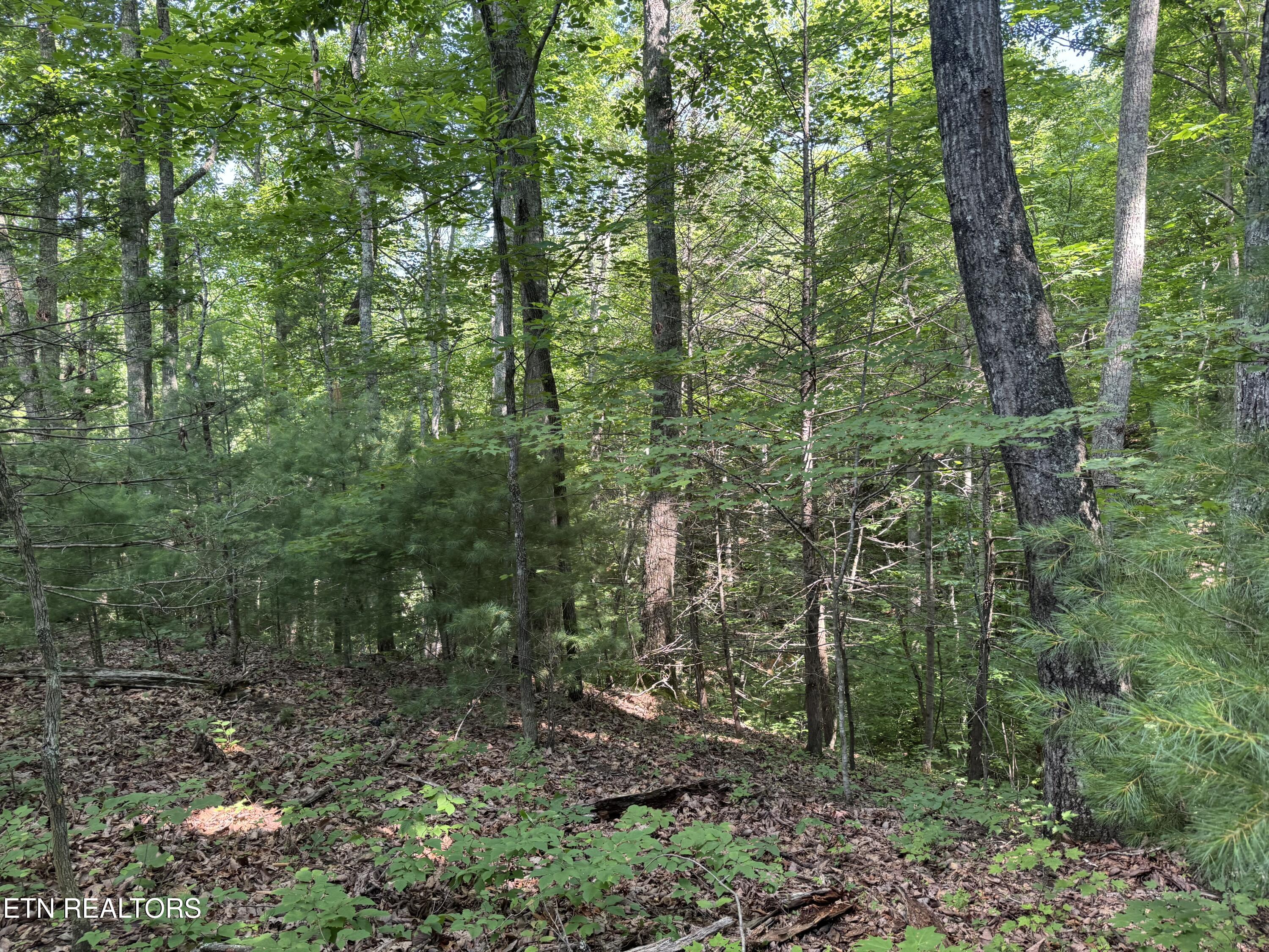 332 Padgett Mill Road Cosby TN 37722