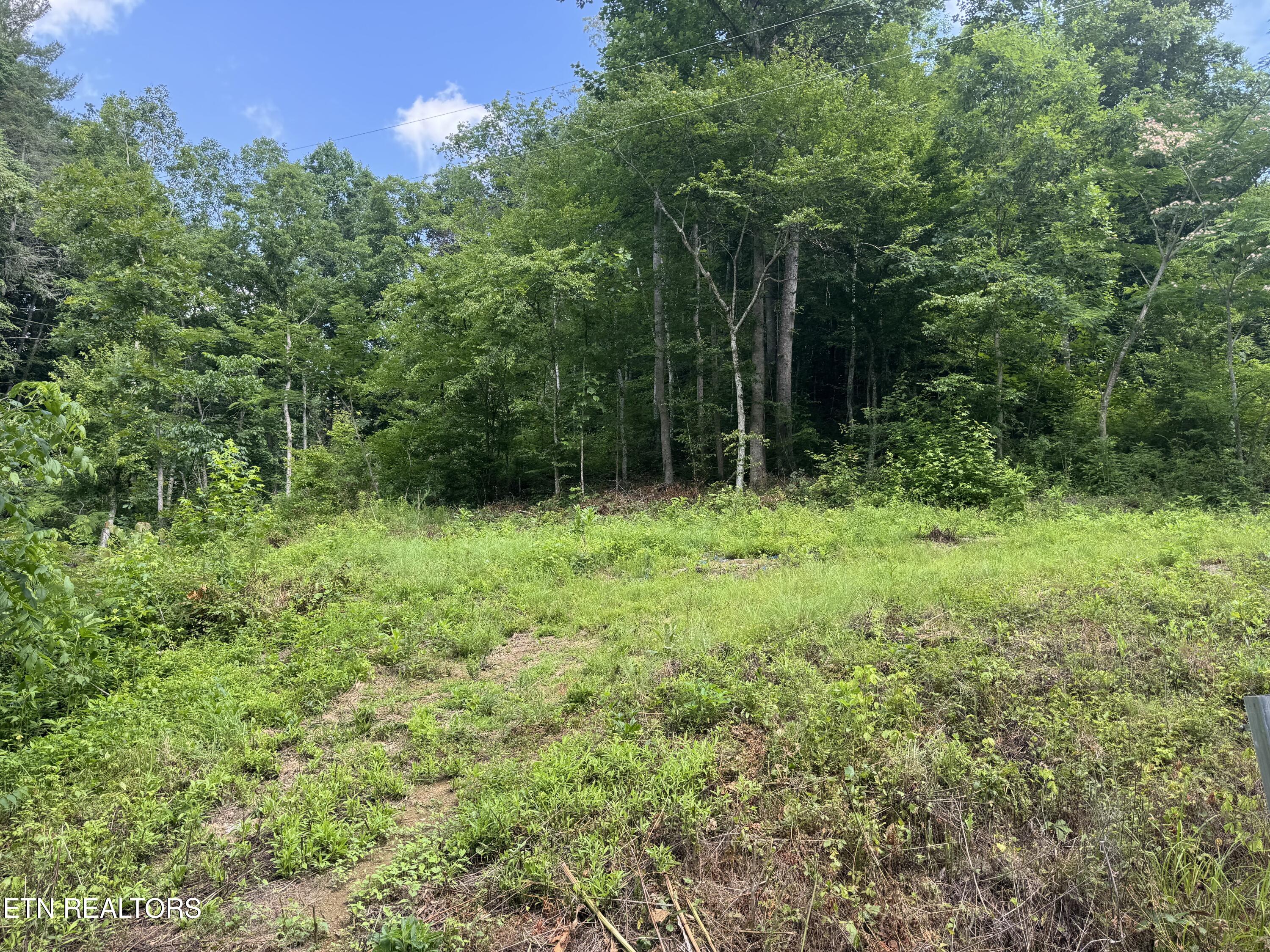 332 Padgett Mill Road Cosby TN 37722
