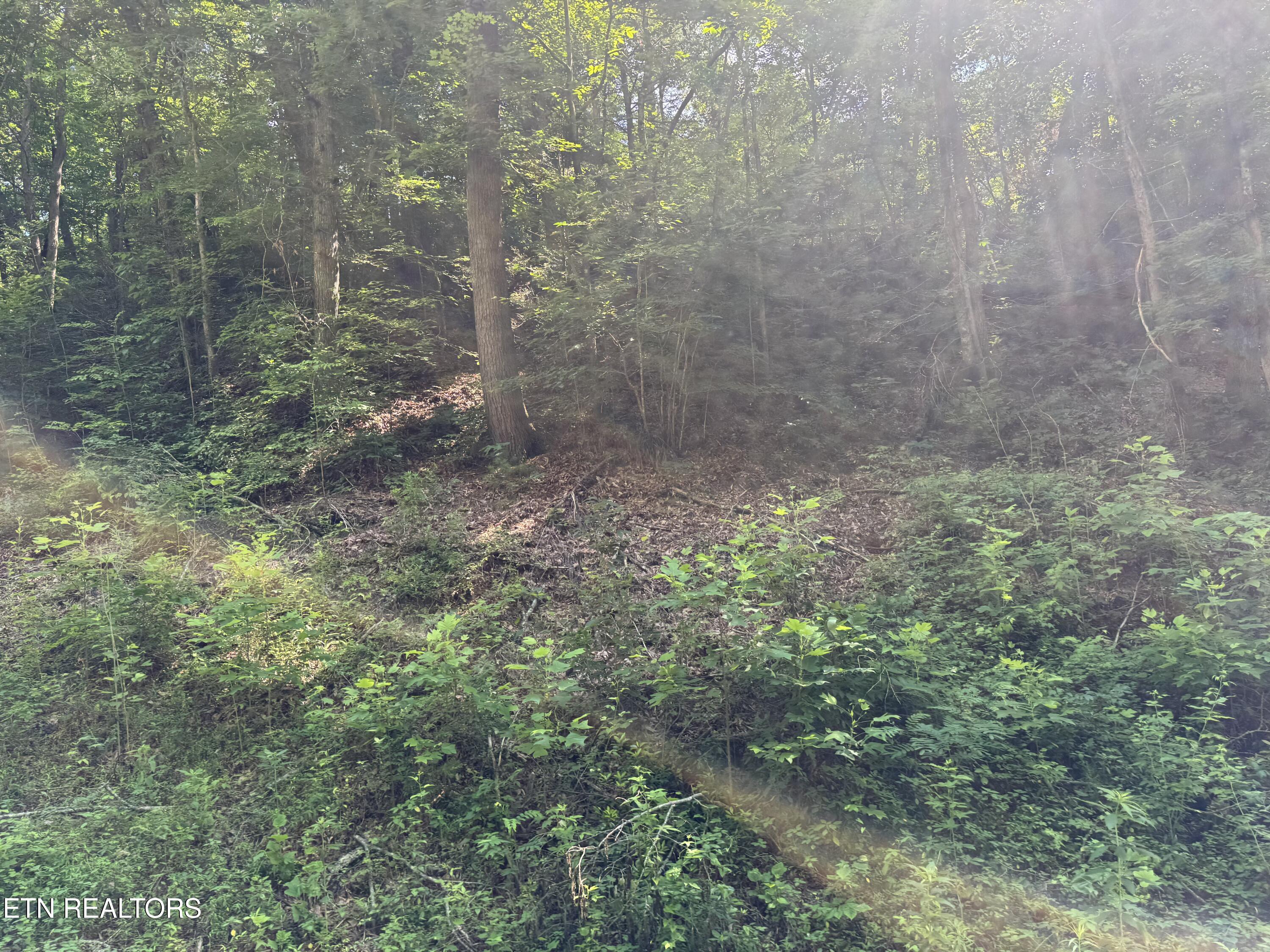 332 Padgett Mill Road Cosby TN 37722