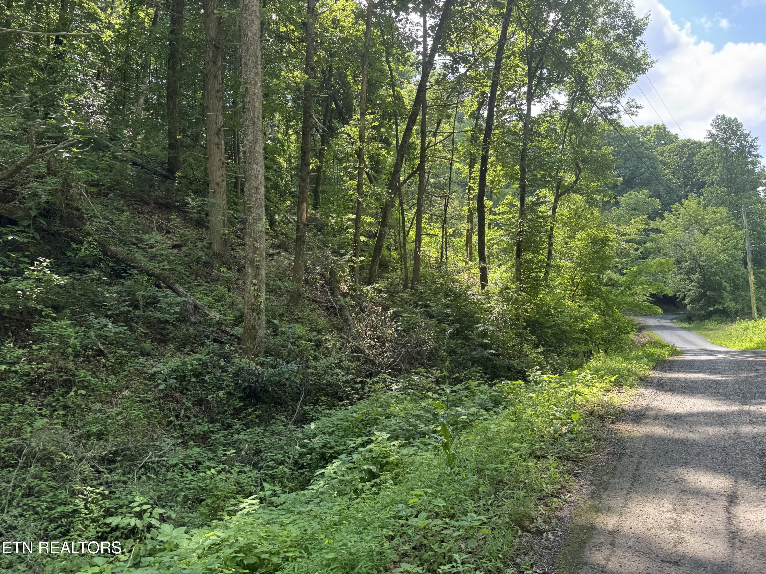 332 Padgett Mill Road Cosby TN 37722